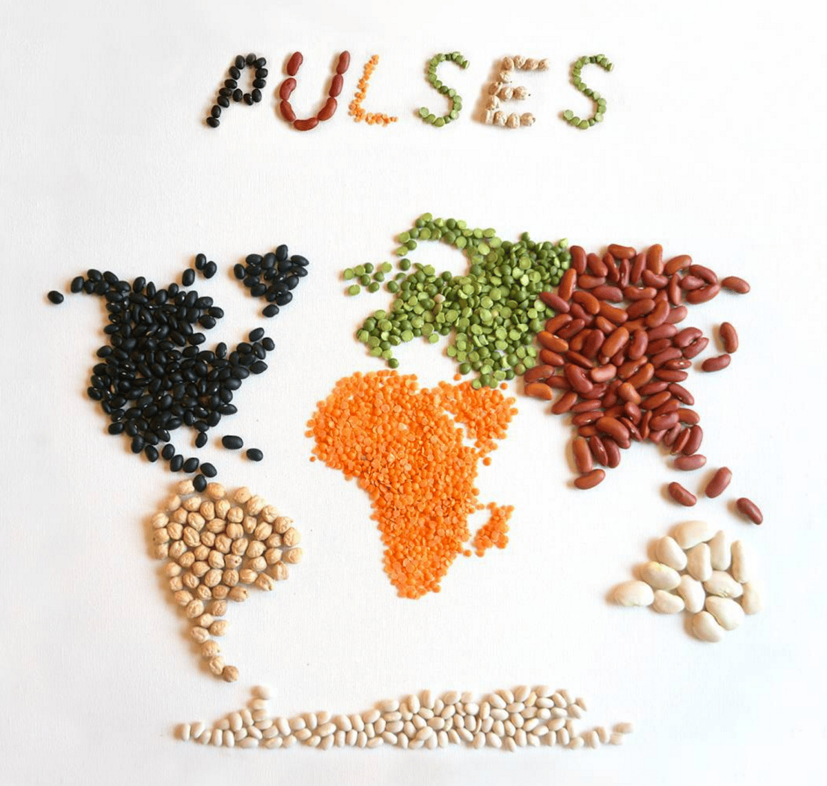 What's the Difference Between a Legume, Bean, and Pulse