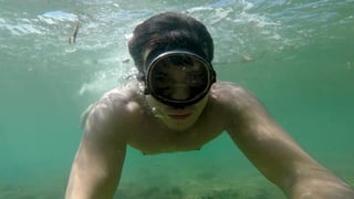 pt_org_102_octopusisabella_082620_thumb.jpg