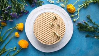 CHEESECAKE--COLMEIA_l_thumb.jpg