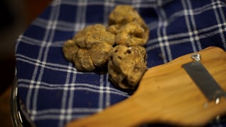 tm-travel_caça-a-trufas_l_thumb.jpg