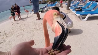 tm-travel-praias-de-tirar-o-folego_l_thumb1.jpg