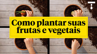 como-plantar-suas-frutas-e-vegetais_l_thumb_titled.jpg