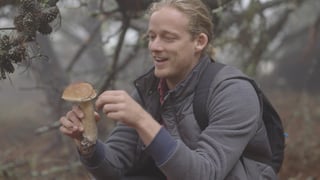 PT_SOUR_106_FORAGING_090120_h264_thumb.jpg