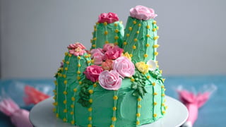 7ec69342-2015_cactuscake_land1.jpg