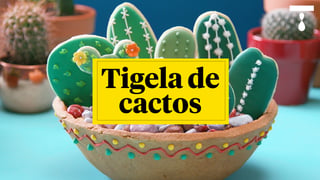 tigela-de-cactos_l_thumb-titled.jpg