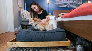tm-casa-upgrade-na-cama-do-pet_l_thumb.jpg