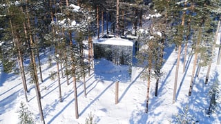 TM-TRAVEL_treehotel_na_suecia_L_THUMB.jpg