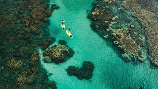 travel-viagens-queridinho-da-mamae_l_thumb.jpg