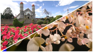 tm-casa_30_jardins-secretos_l_thumb.jpg