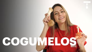 lpb_ep18_cogumelos_l_titled_thumb.jpeg