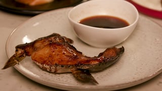 PT_MTT_702_HOLDEN_YELLOWTAIL_092820_THUMB.png
